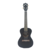 Ukelele Alonso AU24-14