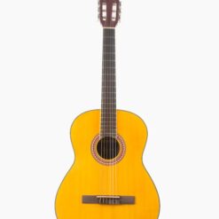 Guitarra Criolla Alonso AGC 21