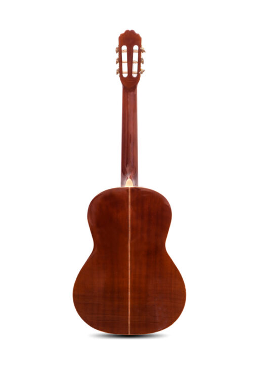 Guitarra Criolla Alonso AGC 71 - Imagen 2